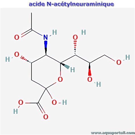 Acide N Ac Tylneuraminique D Finition Et Explications