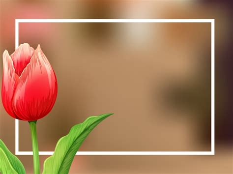 Free Vector Border Background With Tulip Flower