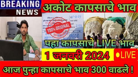 🔴1 जनवरी 2024 अकोट कापूस भाव 300 वाढले Cotton Rate Today कापुस बाजार भाव आजचे Cotton