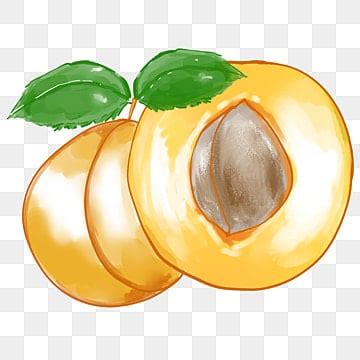 Apricot Yellow Arrow Clip Art, Arrow, Clip Art, Arrow Clipart PNG ...