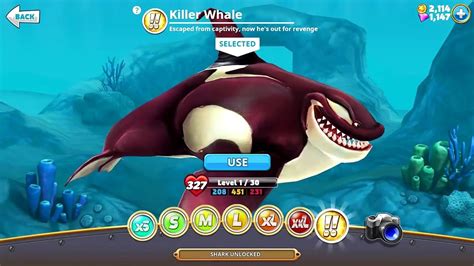 Killer Whale In Hungry Shark World Youtube