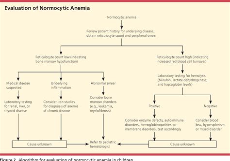 Anemia Causes Chart