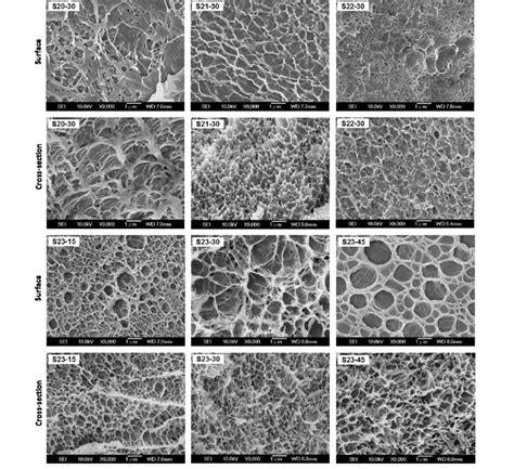 Sem Micrographs Of The Surface And Cross Sections Of Various Pva Cts