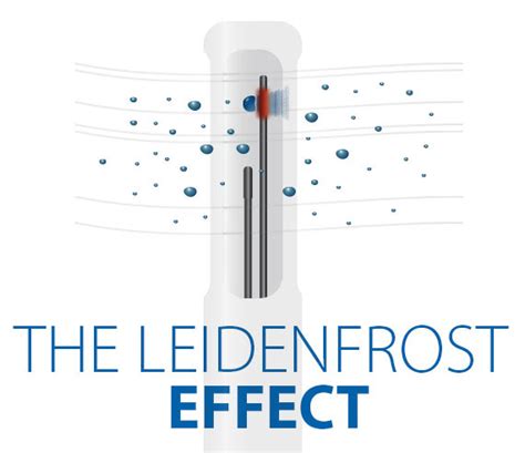 The Leidenfrost Effect