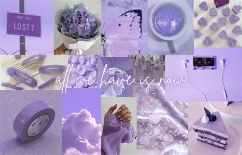 All We Have Is Now Purple Wallpaper Iphone Cute Laptop Wallpaper