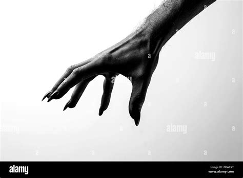 Black Creepy Halloween Monster Hand With Long Nails Stock Photo Alamy