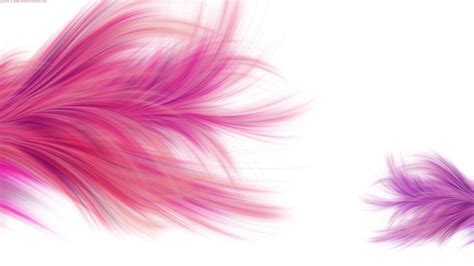 Pink Purple Feathers White Background Hd Abstract Wallpapers Hd Wallpapers Id 61736