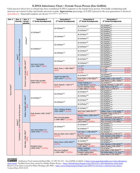 X-DNA Inheritance Charts - Genealogy Junkie