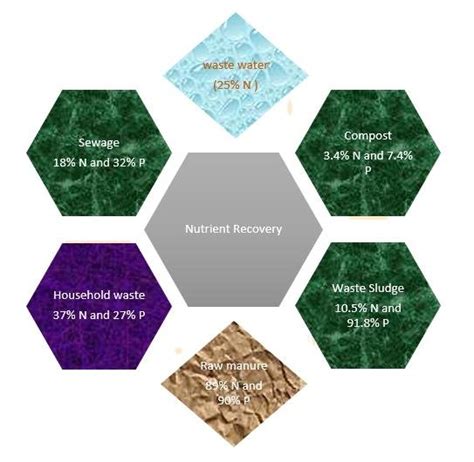 Nutrient Use Efficiency Of Various Techniques Download Scientific Diagram