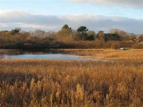 Wetland On The Edge Of Urban Sprawl Gordon Hatton Cc By Sa