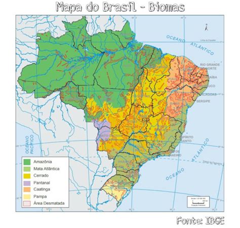 Biomas Brasileiros Mapa Dos Biomas Tipos E Caracter Sticas