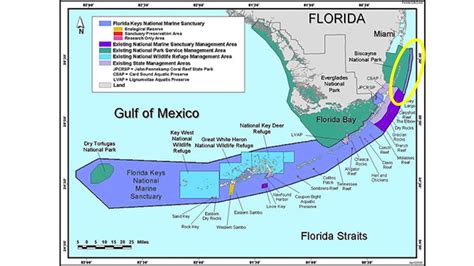 Get To Know Your Local Marine Sanctuary Ufifas Extension Miami Dade