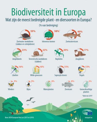 Het Verlies Van Biodiversiteit Natuurgidsen Klein Brabant