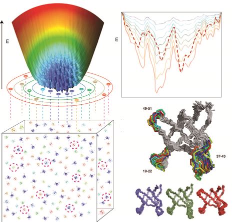 Molecular Recognition Dynamics Ibs Institut De Biologie Structurale