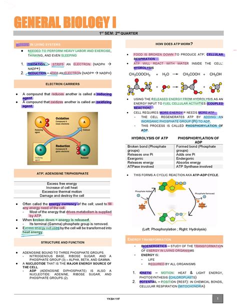 Genbio I 1S2Q Reviewer - GENERAL BIOLOGY I 1 ST SEM: 2 ND QUARTER ... 