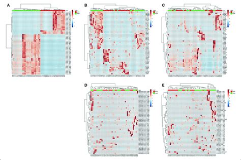 Heatmap For The Hierarchical Clustering Using Euclidean Matrix Download Scientific Diagram