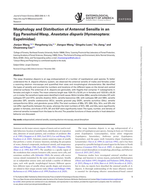 Pdf Morphology And Distribution Of Antennal Sensilla In An Egg