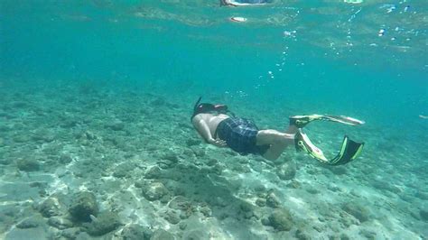 Snorkeling Peanut Island Youtube