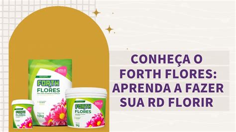 Forth Flores Aprenda Como Fazer A Sua Rosa Do Deserto Alcan Ar A