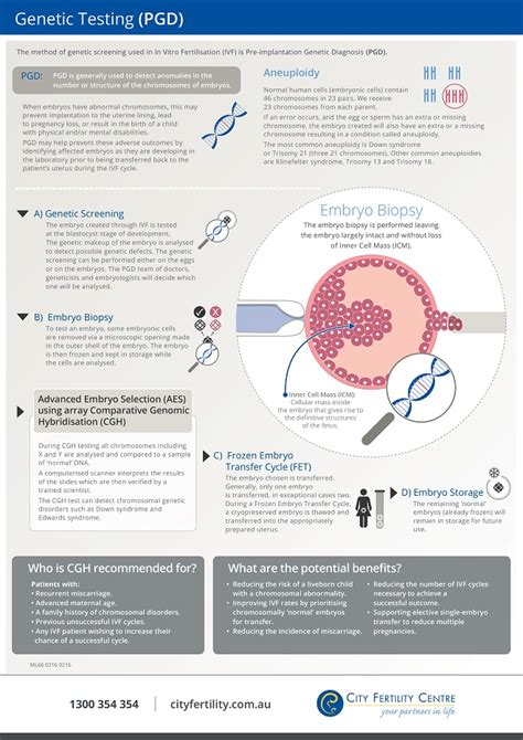 Embryo Genetic Testing Pgd City Fertility Centre