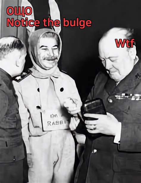 When Stalin Is Actually Rabbit Dank Meme