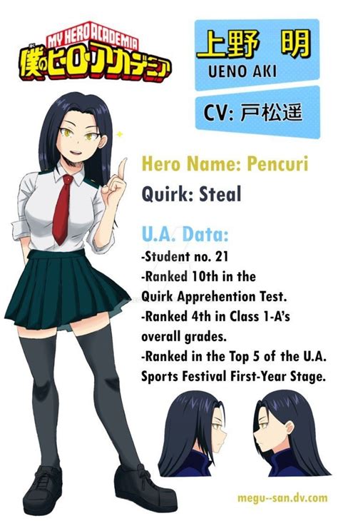 boku no hero academia oc Trajes de súper héroe Disfraz heroinas