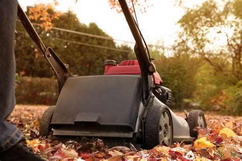 Faut Il Faire Une Derni Re Tonte De Pelouse En Automne Avant Lhiver