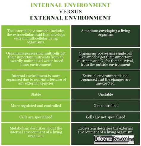 Explain The Differences Between Environmental Policy Statutes And