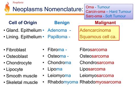 Pathology Lecture Neoplasia Ppt