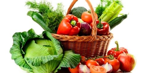 Conoce algo más sobre las verduras y hortalizas Nutrición Vitoria