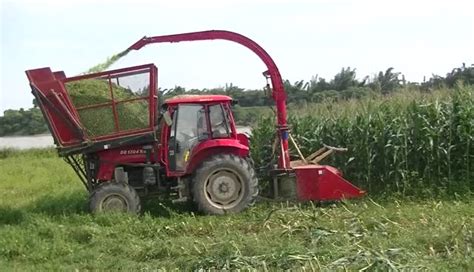 Tractor Mounted Mini Forage And Silage Harvester With Hopper For Corn And Napier Grass Maize