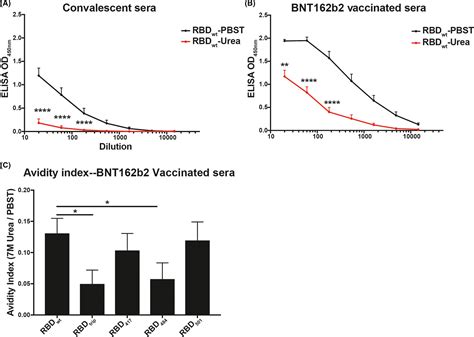 Bnt162b2 Mrna Covid‐19 Vaccine Induces Antibodies Of Broader Cross