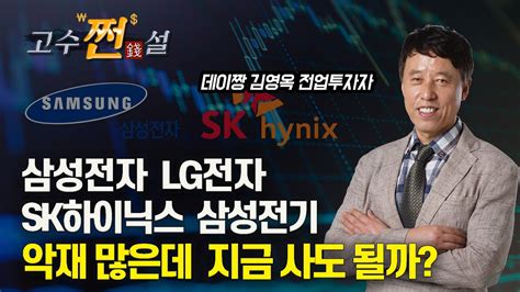 삼성전자 Sk하이닉스 Lg전자 삼성전기 악재 많은데 지금 사도 될까 데이짱 김영옥 전업투자자 Youtube