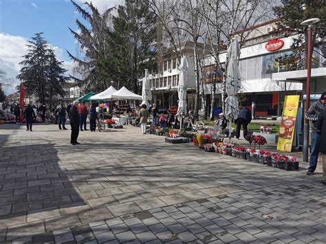 Bogata Ponuda Cve A Na Bujanova Kom Trgu Za Sva Iji Ukus I D Ep Foto