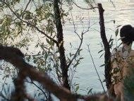 Clouds Of Sils Maria Nude Pics Page 1