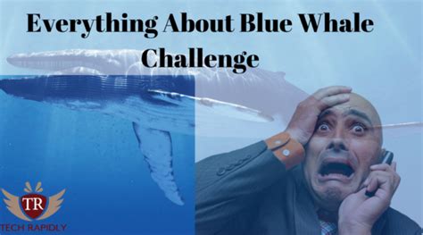 Everything About Blue Whale Challenge(Reality,Suicides,Precautions)