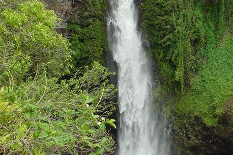 Must See Waterfalls, Information & More | Maui Hawaii