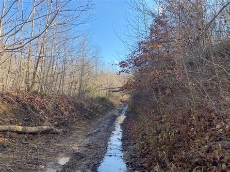 Blue Creek Road Tar Hollow Trails Ohio Off Road Trail Map Photos