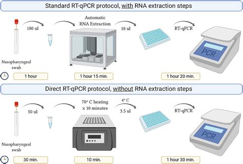 Frontiers Analytical And Clinical Validation For Rt Qpcr Detection Of