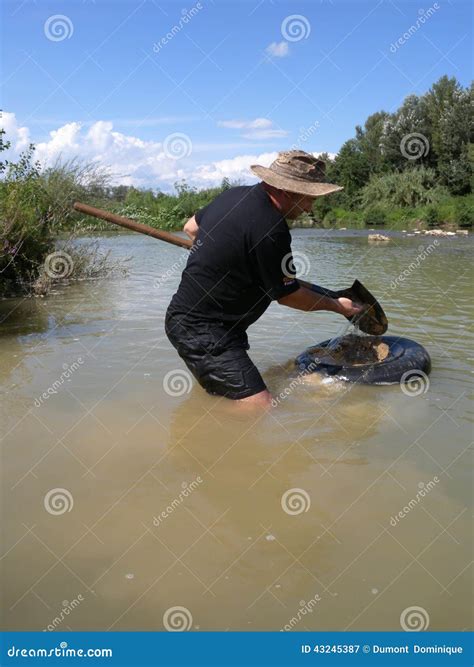 Man Panning For Gold Editorial Photography Image Of Mineral 43245387