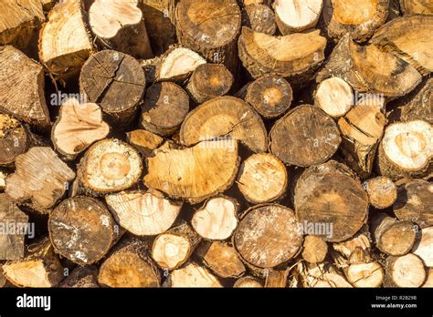 Stacked Chopped Logs For Firewood France Stock Photo Alamy