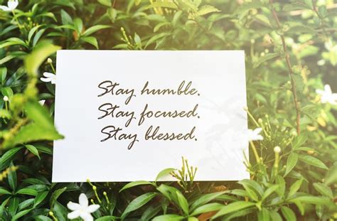 Premium Photo A Piece Of Paper With Inspiration Quotes With Text Stay