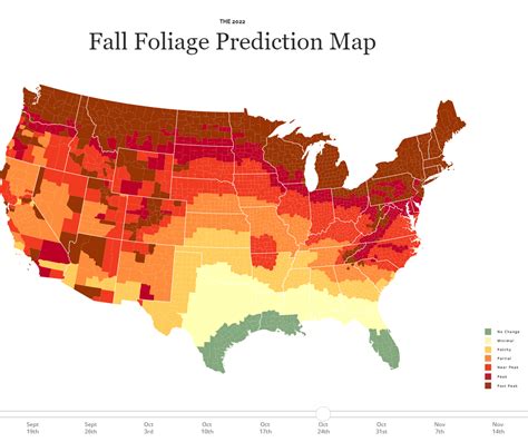 The Perfect Fall Foliage Road Trip Through Virginia