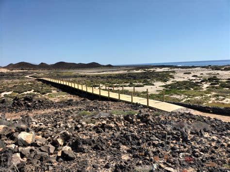 Finalizan Las Obras De La Nueva Pasarela De Madera En El Islote De