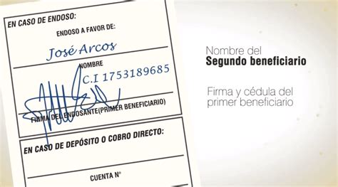 C Mo Endosar Un Cheque Correctamente Paso A Paso Postposmo