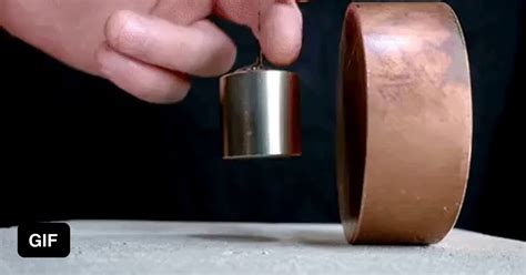 Crush I Like You As A Friend My Dick Her Pussy Gag