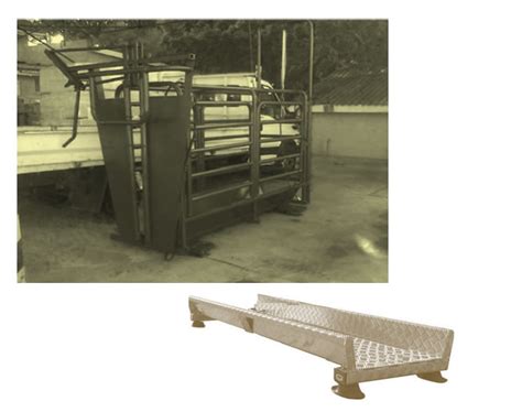 Livestock Scales And Equipment Cattle And Sheep Scales Suppliers South