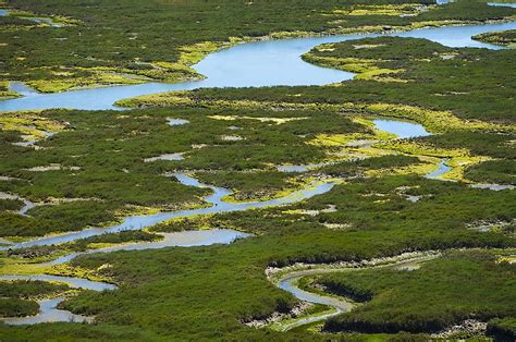 What Is A Slough WorldAtlas