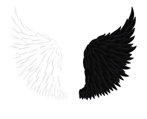 Wings Angel PNG Image - PNG All | PNG All