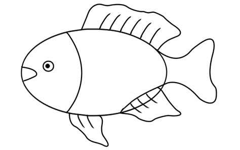 How to Draw a Fish Outline? | Step by Step Fish Outline Drawing for Kids